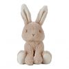 Peluche Lapin Mignon